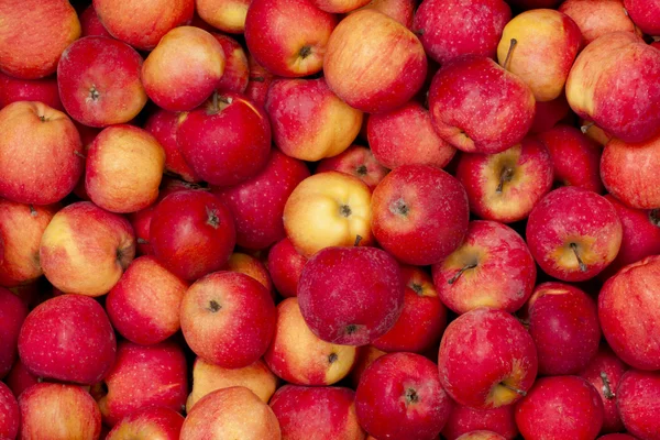 Background of red apples — Stock Photo, Image