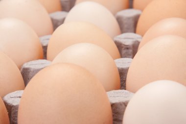 arka plan olarak yumurta