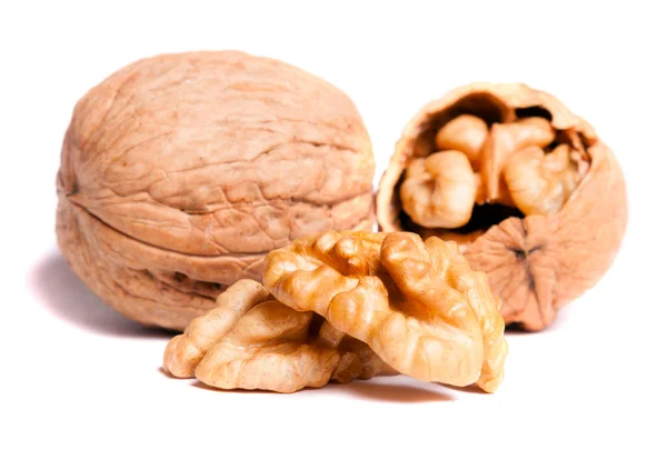 Изолированные орехи — стоковое фото
