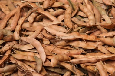 kabuk içinde fasulye