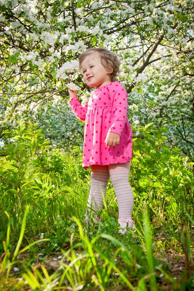 फुलांमध्ये लहान मुलगी — स्टॉक फोटो, इमेज