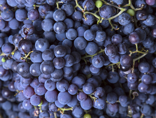 Виноград как фон
