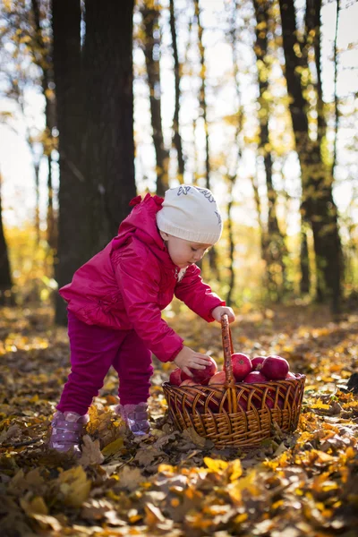 Meisje met appels — Stockfoto