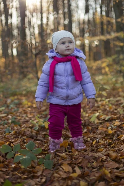 Dívka v podzimním lese — Stock fotografie