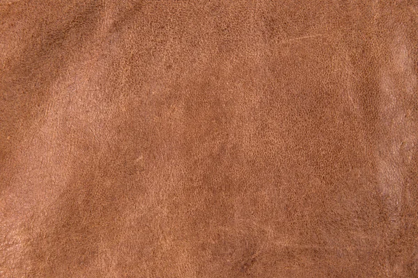 Leather texture — Stock Photo, Image