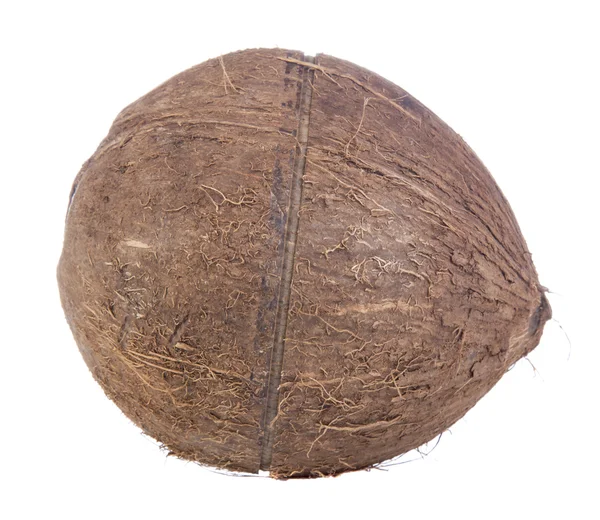 Coconut closeup — Stock Photo, Image