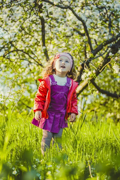 Child in nature — Stock Photo, Image