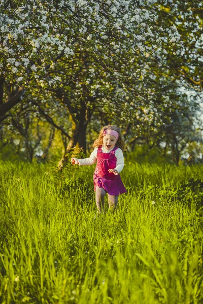 Child in nature — Stock Photo, Image
