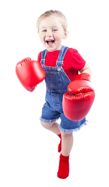 Boxeador bebé — Foto de Stock
