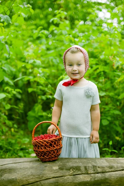 Meisje met een mandje met frambozen — Stockfoto