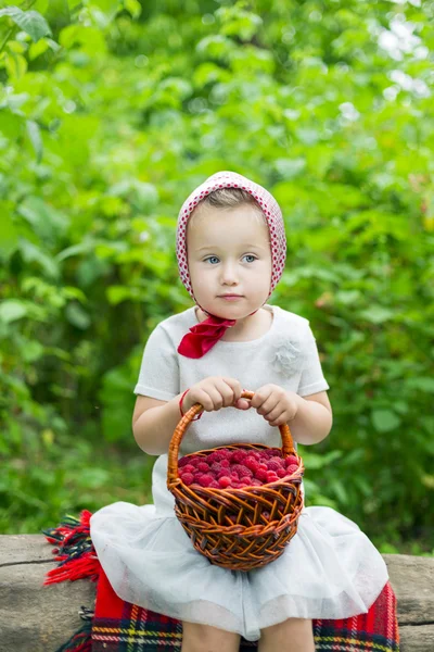 Girl with a basket of raspberries — Stock Photo, Image