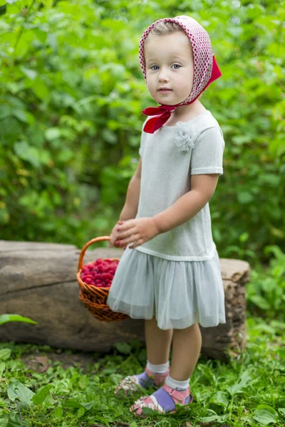 Κορίτσι με ένα καλάθι των σμέουρων — Φωτογραφία Αρχείου