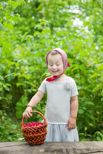 Girl with a basket of raspberries — Stock Photo, Image