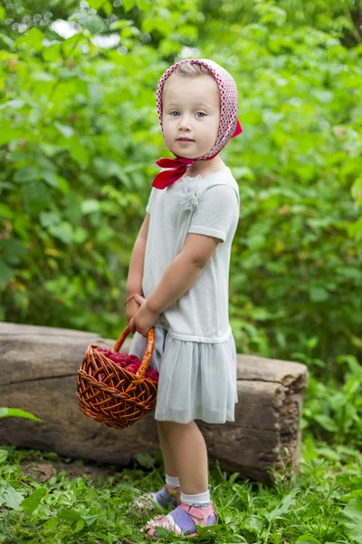 Meisje met een mandje met frambozen — Stockfoto