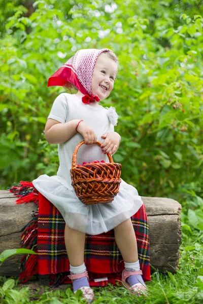 Girl with a basket of raspberries — Stock Photo, Image