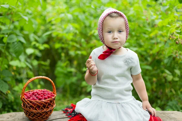 Girl with a basket of raspberries — Stock Photo, Image