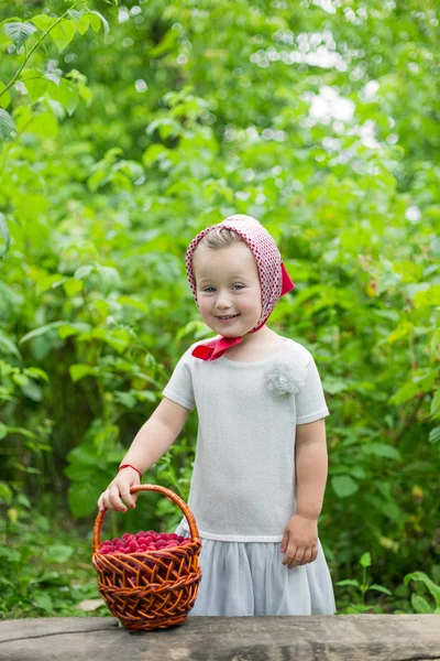 Ahududu bir sepet ile kız — Stok fotoğraf