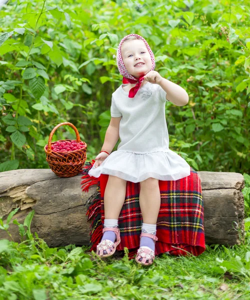 Girl with a basket of raspberries — Stock Photo, Image