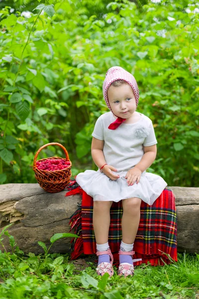 Девушка с корзиной малины — стоковое фото