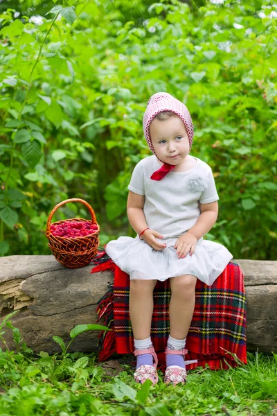 Girl with a basket of raspberries — Stock Photo, Image