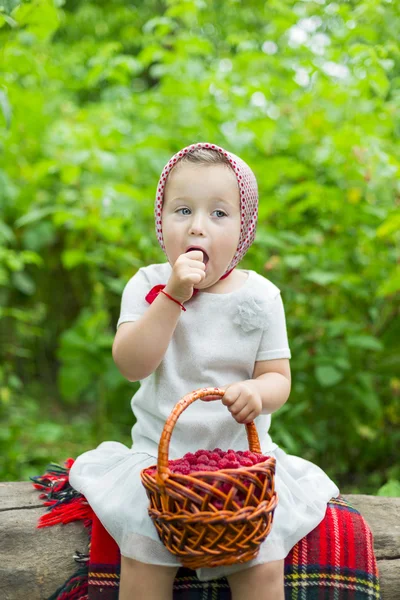 Girl with a basket of raspberries — Stock Photo, Image