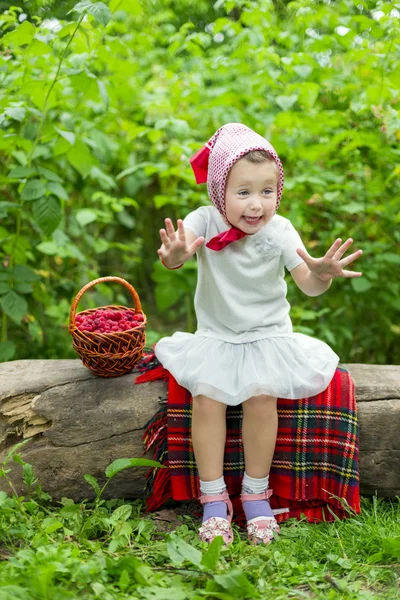 Girl with a basket of raspberries — Stock Photo, Image