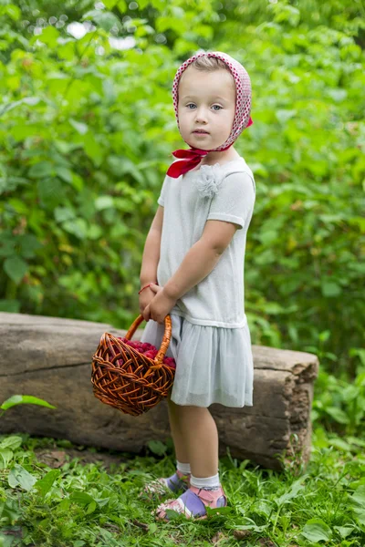 Flicka med en korg med hallon — Stockfoto
