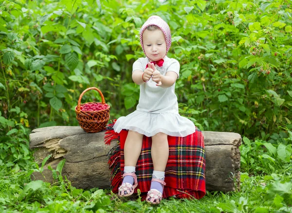 Girl with a basket of raspberries — Stock Photo, Image