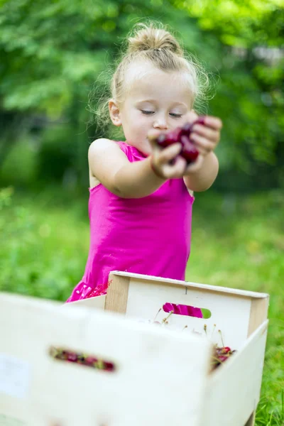 Girl with cherries — Stock Photo, Image