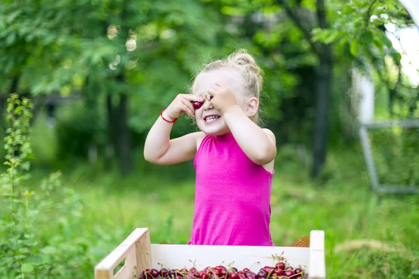 Dziewczyna z wiśniami — Zdjęcie stockowe