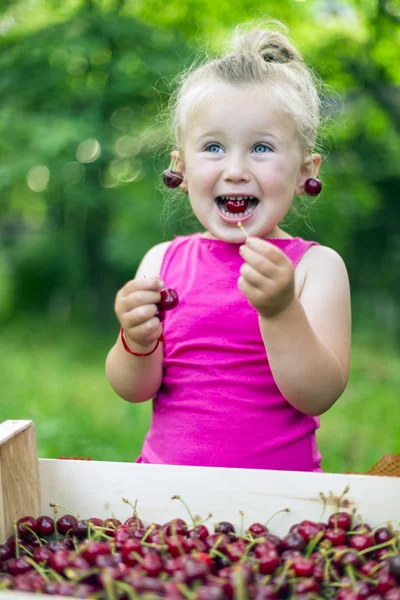 Child eating cherries — Stock Photo, Image