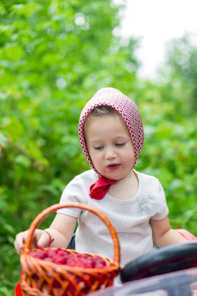 Fille en voiture — Photo