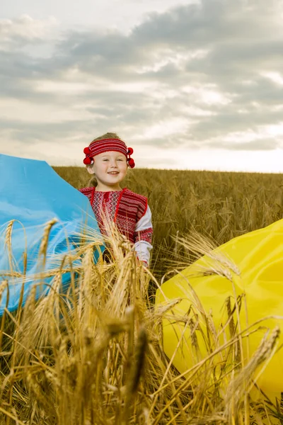 Kız Ukrayna ulusal kostüm — Stok fotoğraf