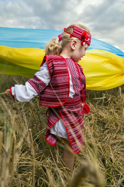 Ukrainian small — Stock Photo, Image