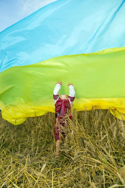 Український невеликий — стокове фото