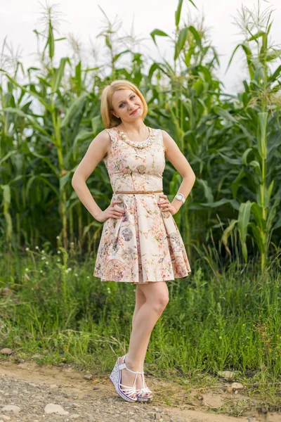 Girl at corn — Stock Photo, Image