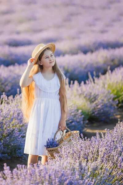 Πορτρέτο ενός κοριτσιού σε ένα χωράφι με λεβάντα — Φωτογραφία Αρχείου