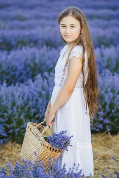 薰衣草地里一个女孩的画像 — 图库照片