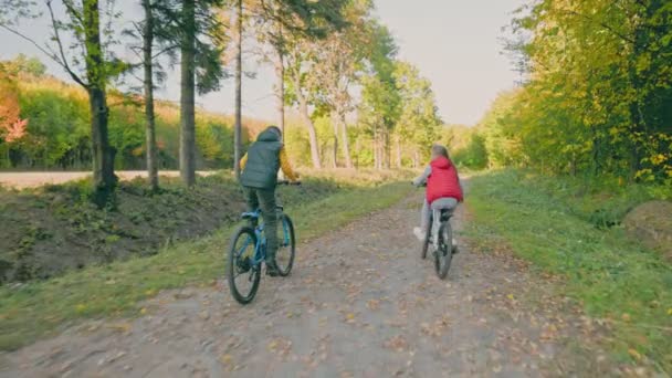 Niños montan bicicletas cerca del bosque — Vídeo de stock
