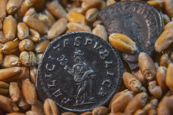 Monedas viejas yacen en el grano —  Fotos de Stock