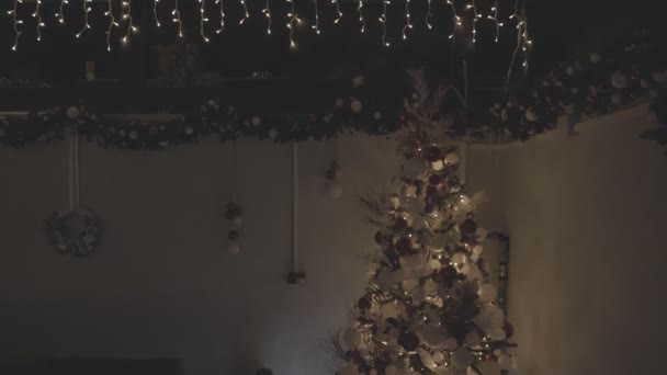 Прикрашені новорічні ялинки — стокове відео