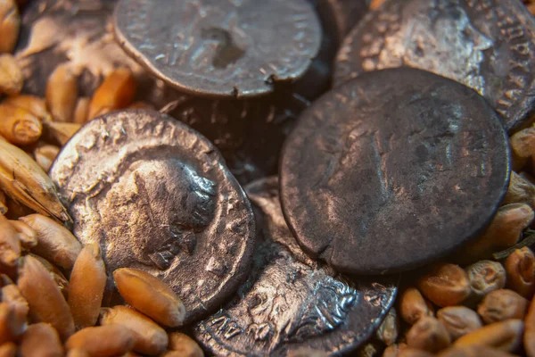 Régi érmék fekszenek a gabonán. — Stock Fotó
