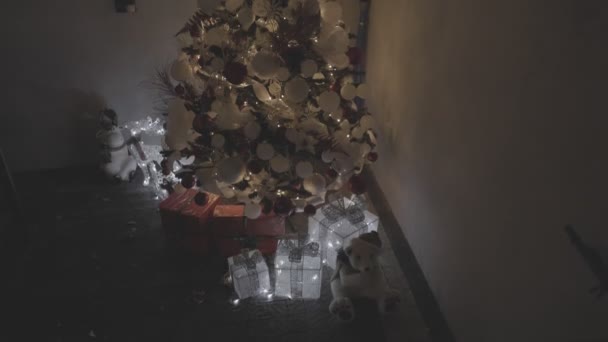 Прикрашені новорічні ялинки — стокове відео