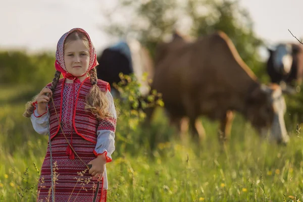 Liten flicka bete kor på gräsmattan — Stockfoto