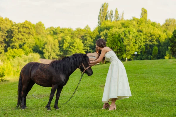 Frau streichelt ein Pony — Stockfoto