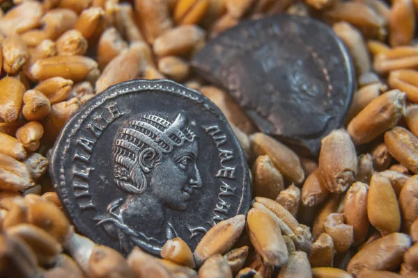Παλιά νομίσματα βρίσκονται στο σιτάρι — Φωτογραφία Αρχείου