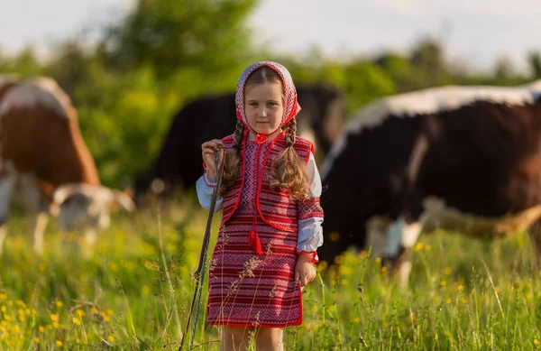 Κοριτσάκι βόσκει αγελάδες στο γκαζόν — Φωτογραφία Αρχείου