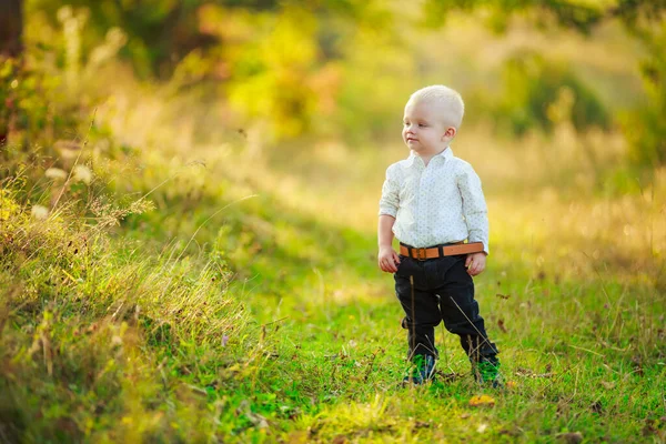 Mały chłopiec spacerujący w przyrodzie — Zdjęcie stockowe