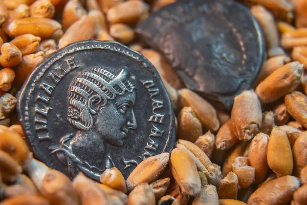 Monedas viejas yacen en el grano —  Fotos de Stock