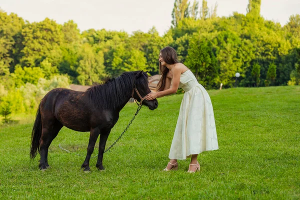 Mulher acariciando um pônei — Fotografia de Stock